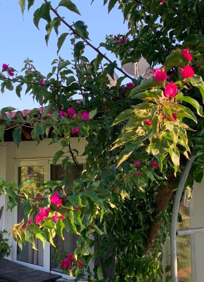 Willa La Casa Di Mare Agios Gordios  Zewnętrze zdjęcie